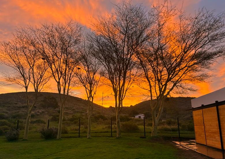 4 Bedroom Property for Sale in Malgas Western Cape